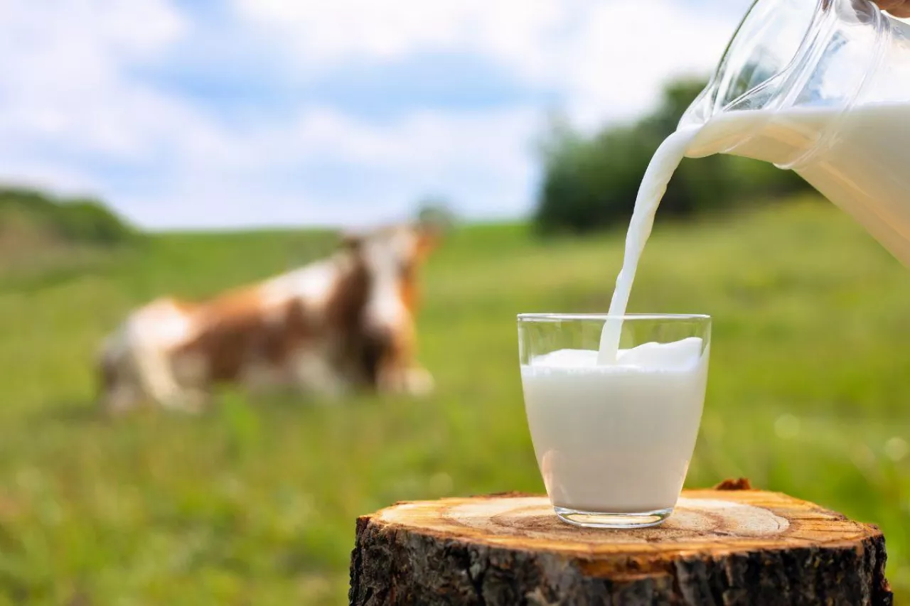 &lt;p&gt;Jakie mity najczęściej słyszymy od przeciwników mleka i jak sobie z nimi radzić?&lt;/p&gt;