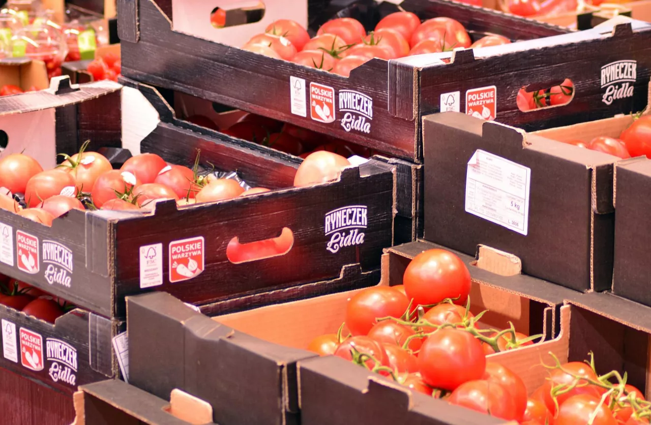 Pomidory na Ryneczku Lidla (Shutterstock)