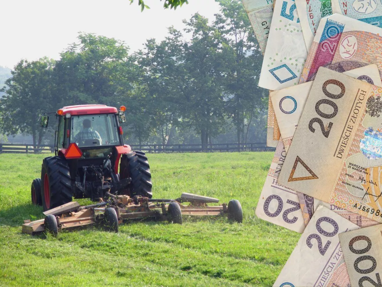 KOWR sprzedaje 140 ha gospodarstwo na Podlasiu. Jaka cena?