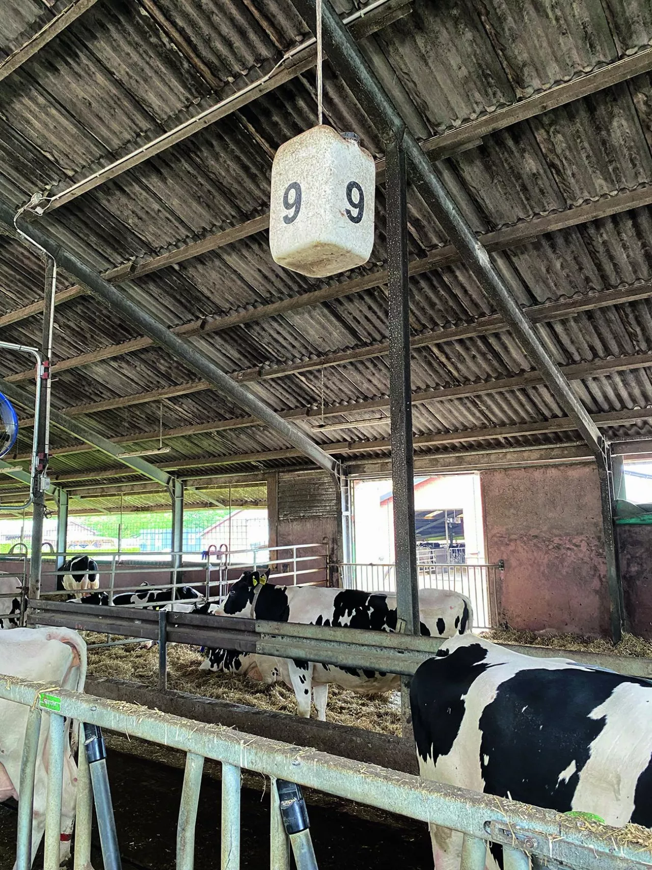technika, tap 4/2025, wynalazki rolników, modenizacje rolników, wynalazek do obory, znakowanie kojca