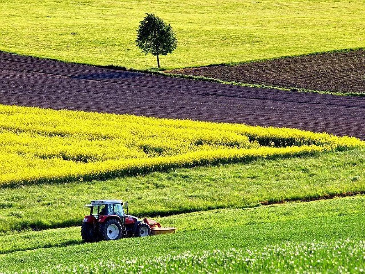 Dopłaty do ugorowania: ile lat ugór może być na tym samym gruncie?