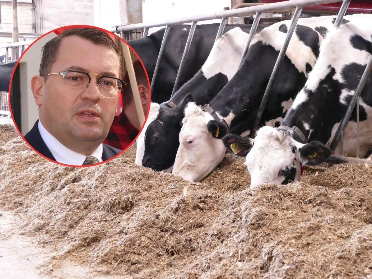 Dopłaty dla rolników ruszyły z kopyta. 250 mln zł już na kontach. Kiedy reszta?