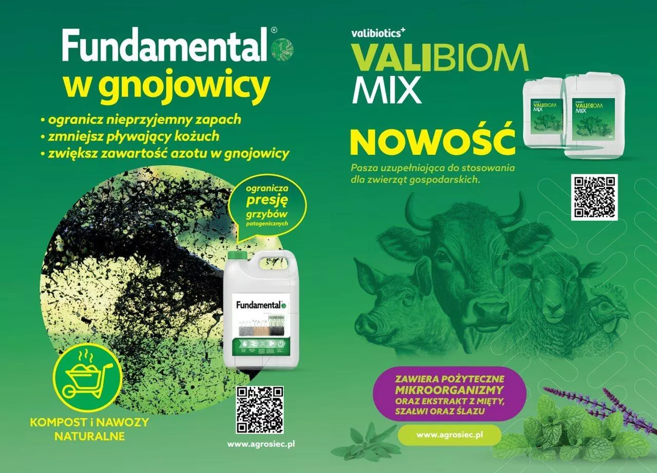 Jaką paszę i komponenty wybrać dla krów mlecznych?