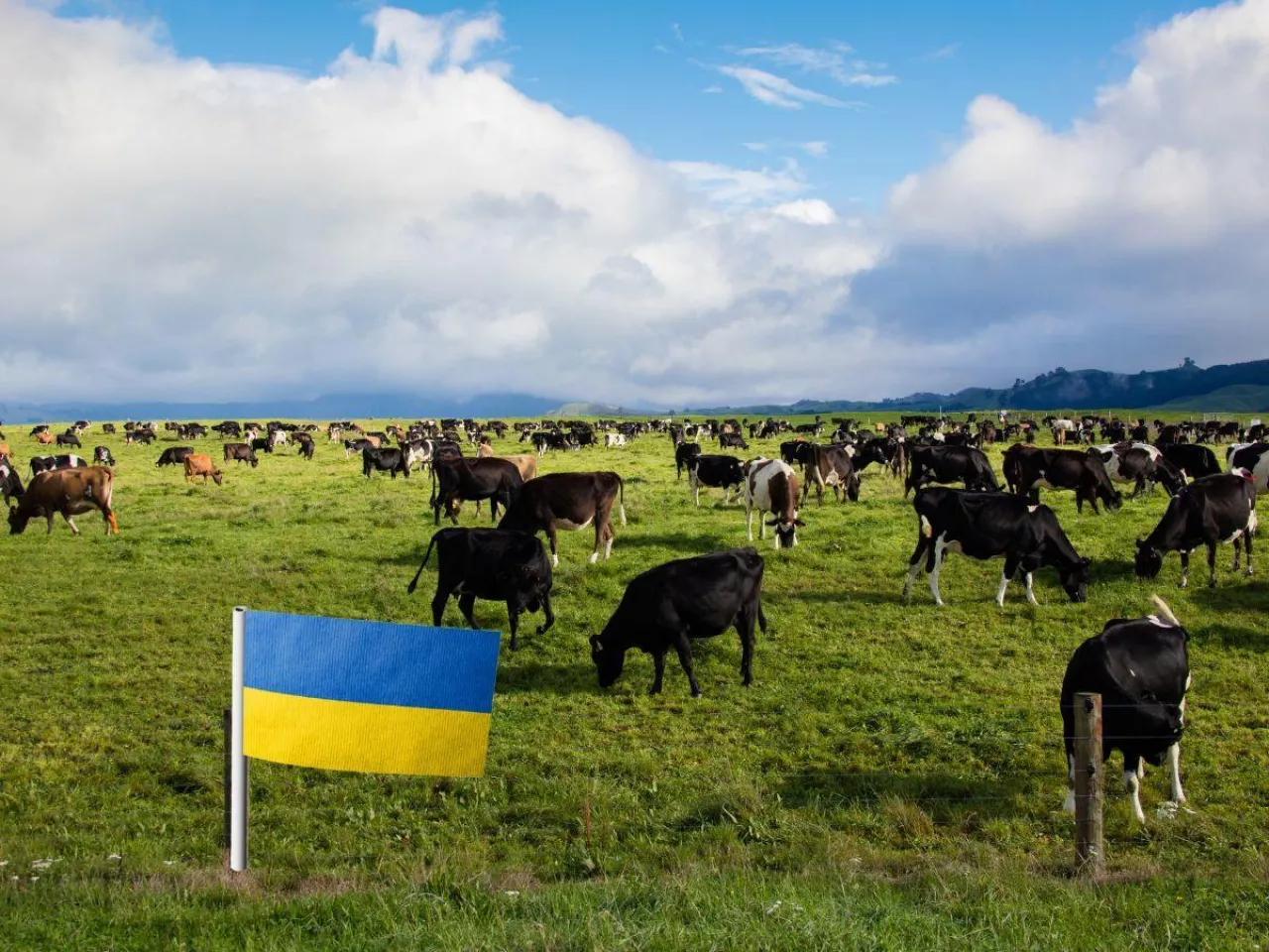 Na Ukrainie powstaje 125 gospodarstw mlecznych
