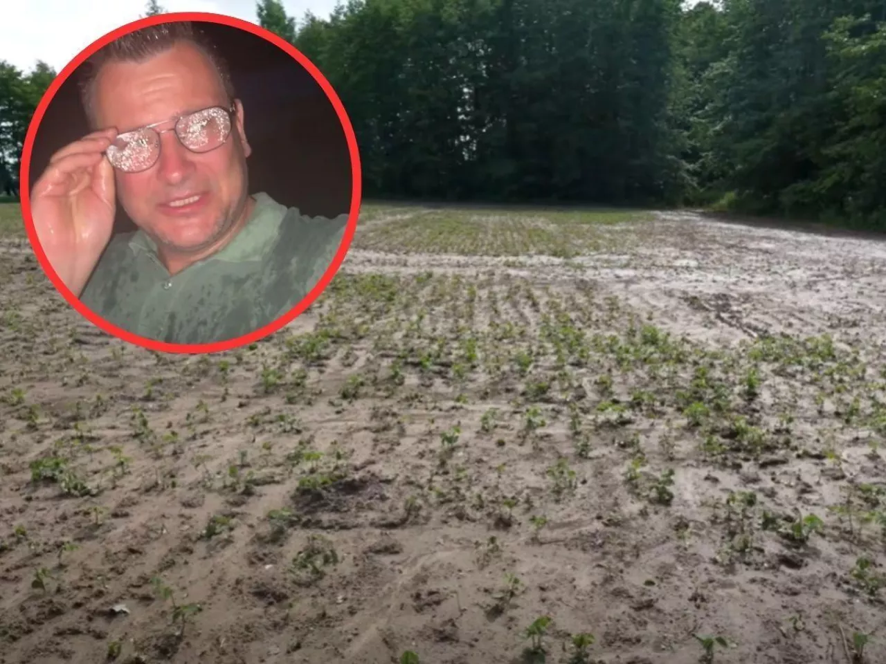 Bardowski pokazuje, co zrobił grad. ”Buraka i soję poszatkowało”