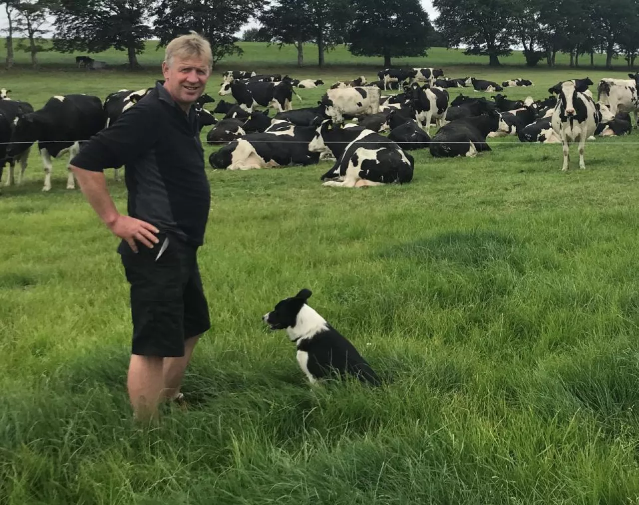 Jim Baird utrzymuje 234 krowy, które dają średnio 8400 kg mleka w laktacji