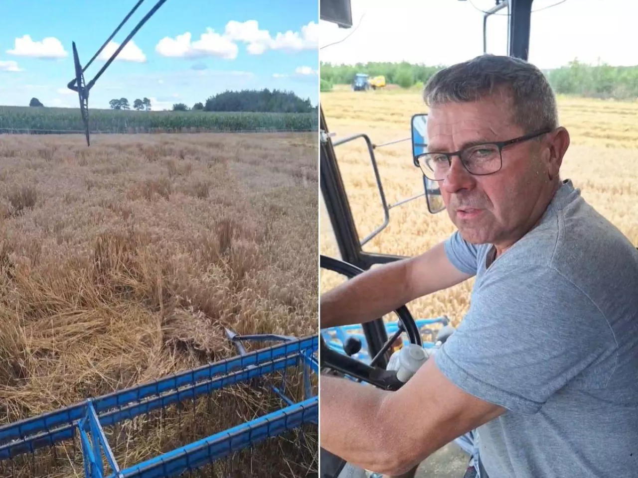 Żniwa u Janusza Terki z Solidarności Rolników Piotrków