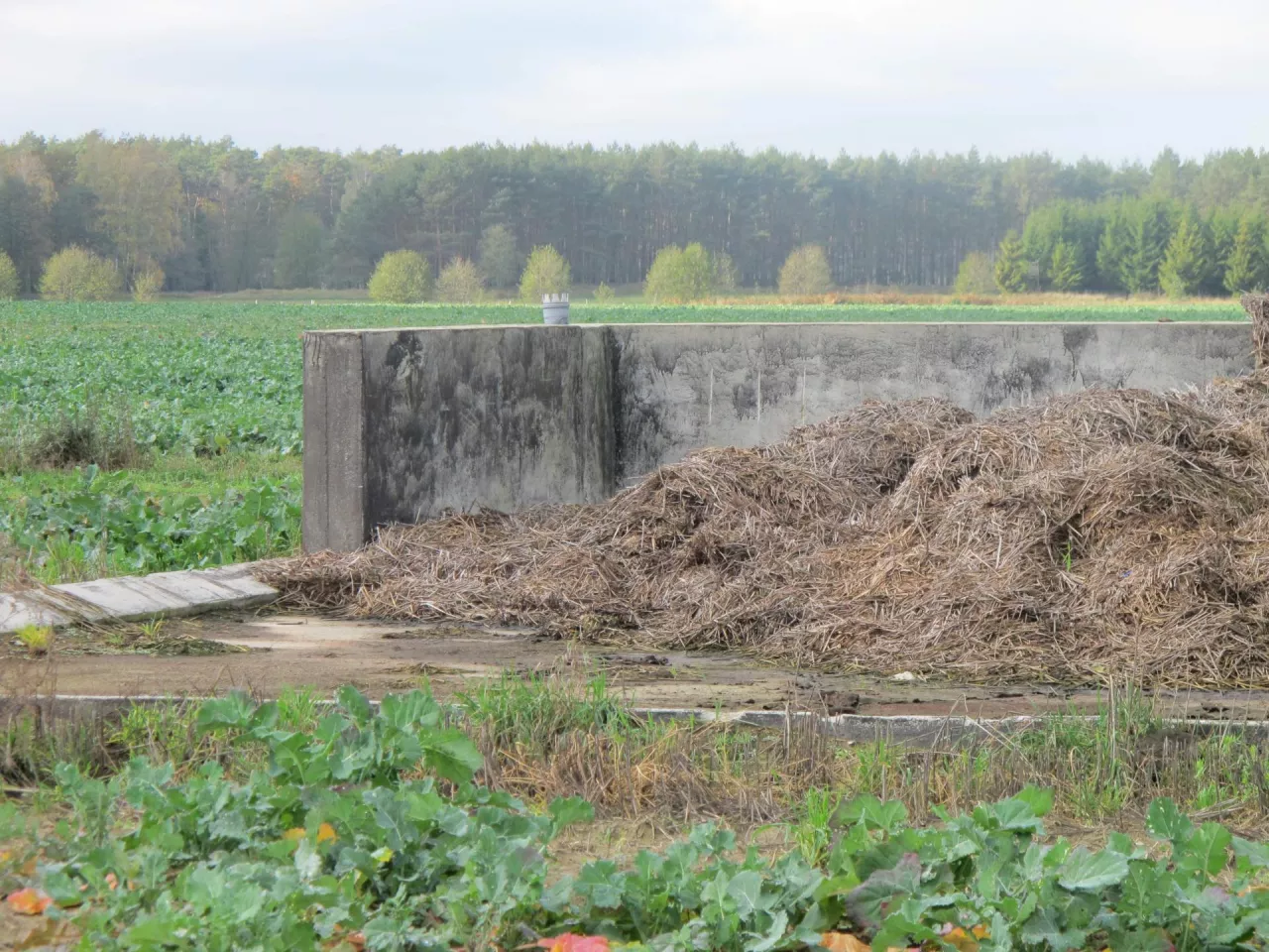 Płyty obornikowe: będzie więcej czasu na budowę?