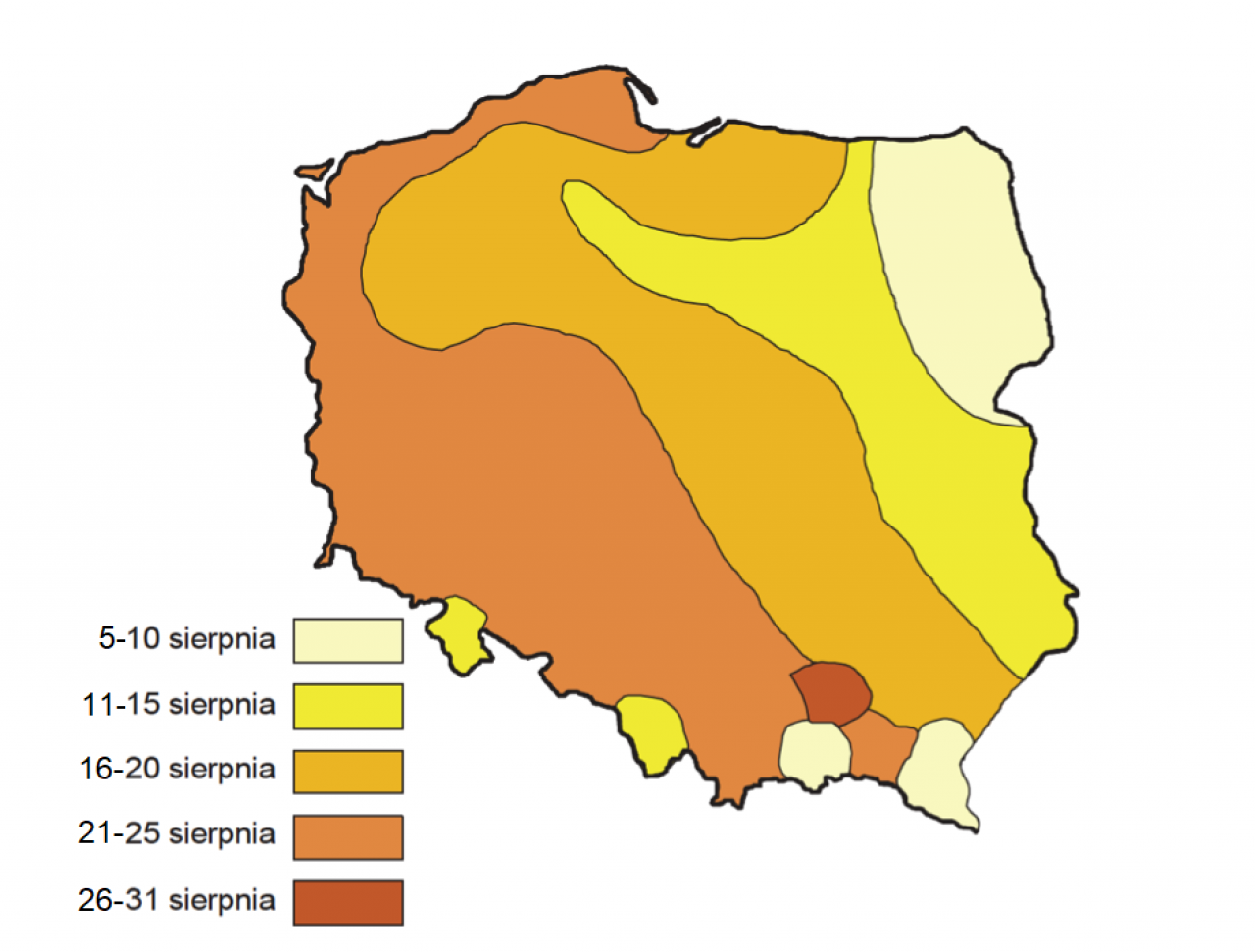 Kiedy siać rzepak ozimy? Terminy siewu w 2025 roku [MAPA]