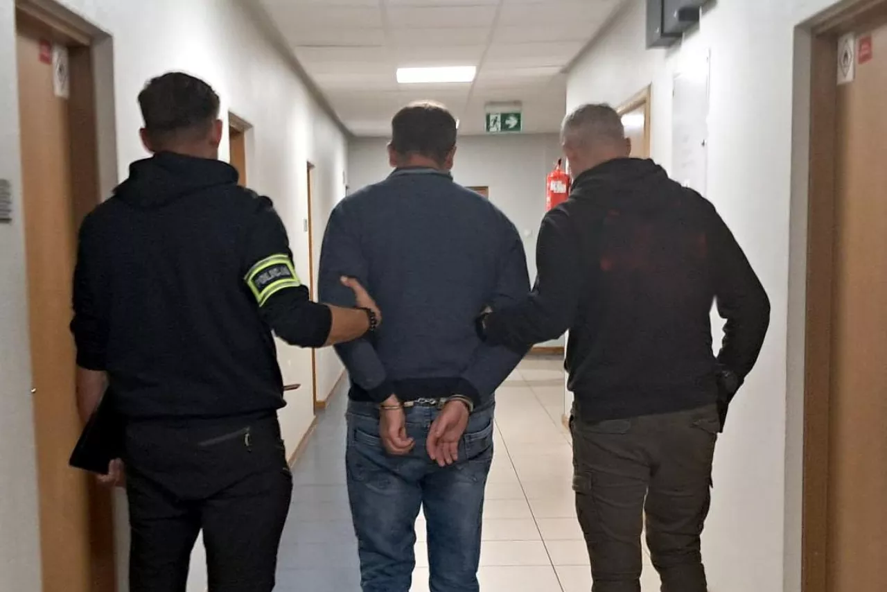 Rolnicy oszukani na krowy. Straty wynoszą nawet 8 mln zł