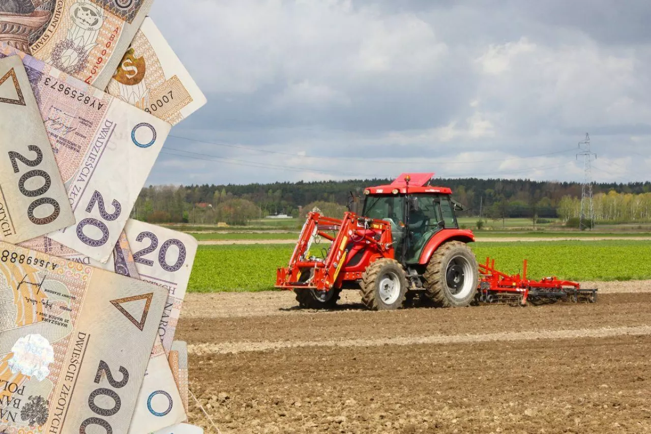 Jakie są ceny ziemi rolnej w II kwartale 2023