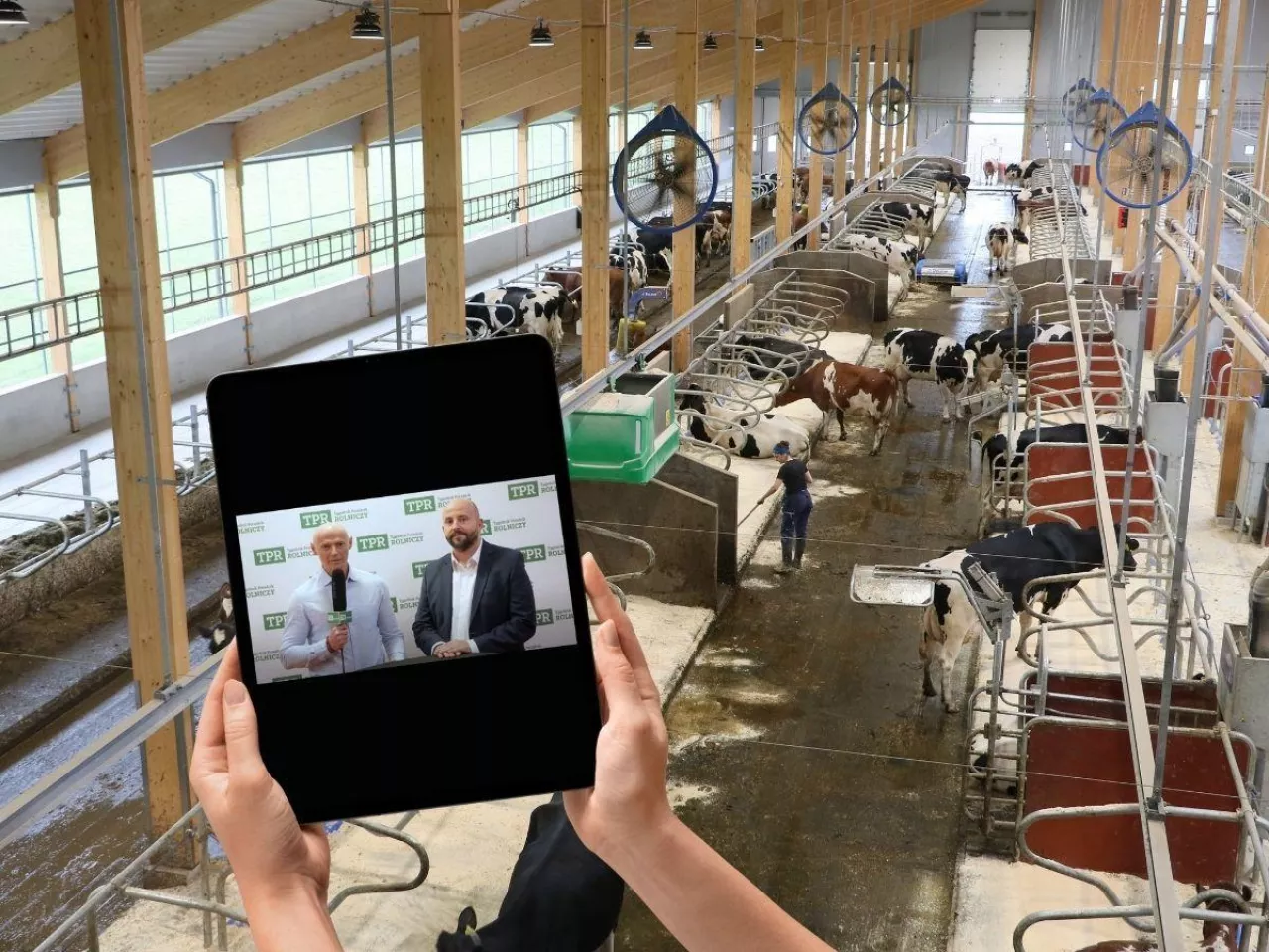Cyfrowa rewolucja w oborach. Technologia zamiast stetoskopu