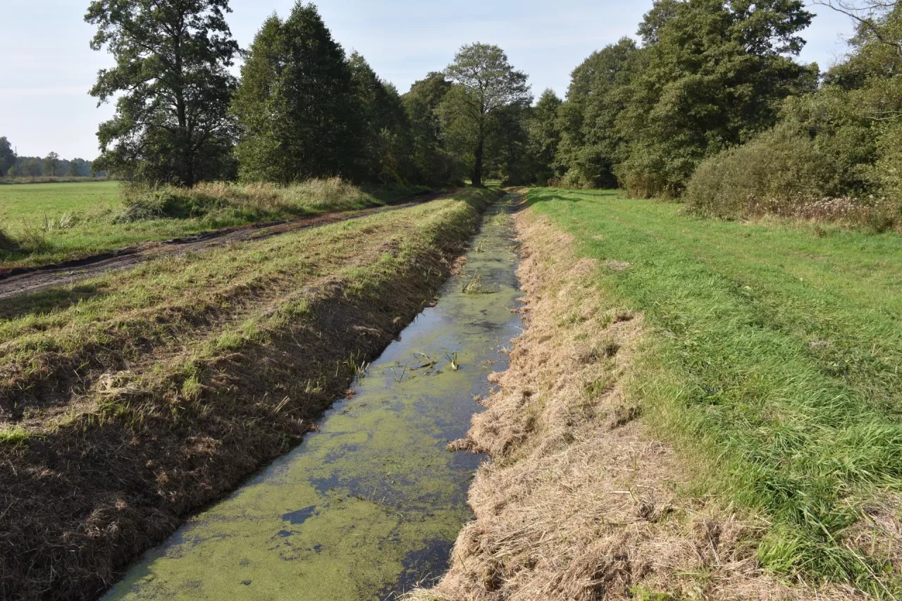 spółka wodna Łabiszyn