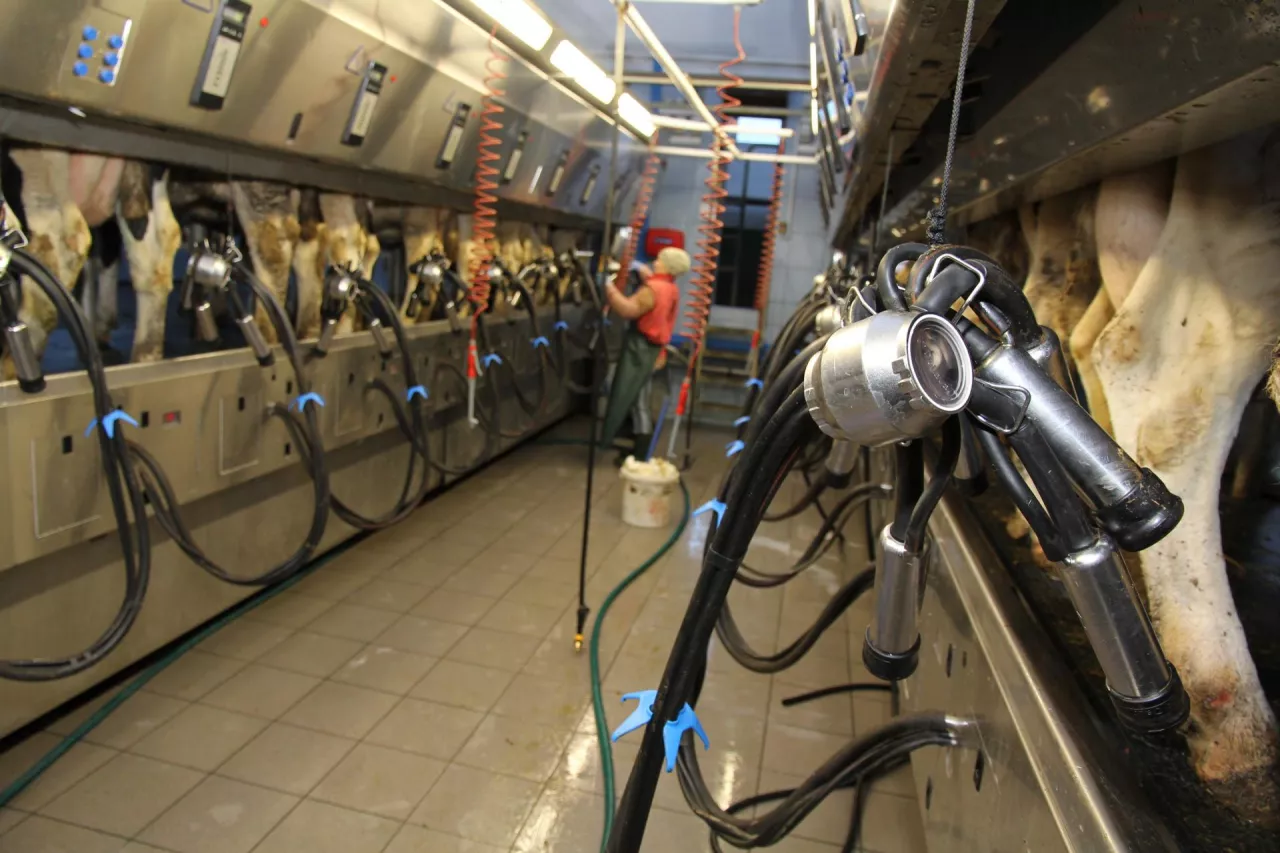 Ceny mleka za wrzesień spadły w oficjalnych danych GUS (2,23 zł/l) tj. spadek o 0,7% w porównaniu do sierpnia br.