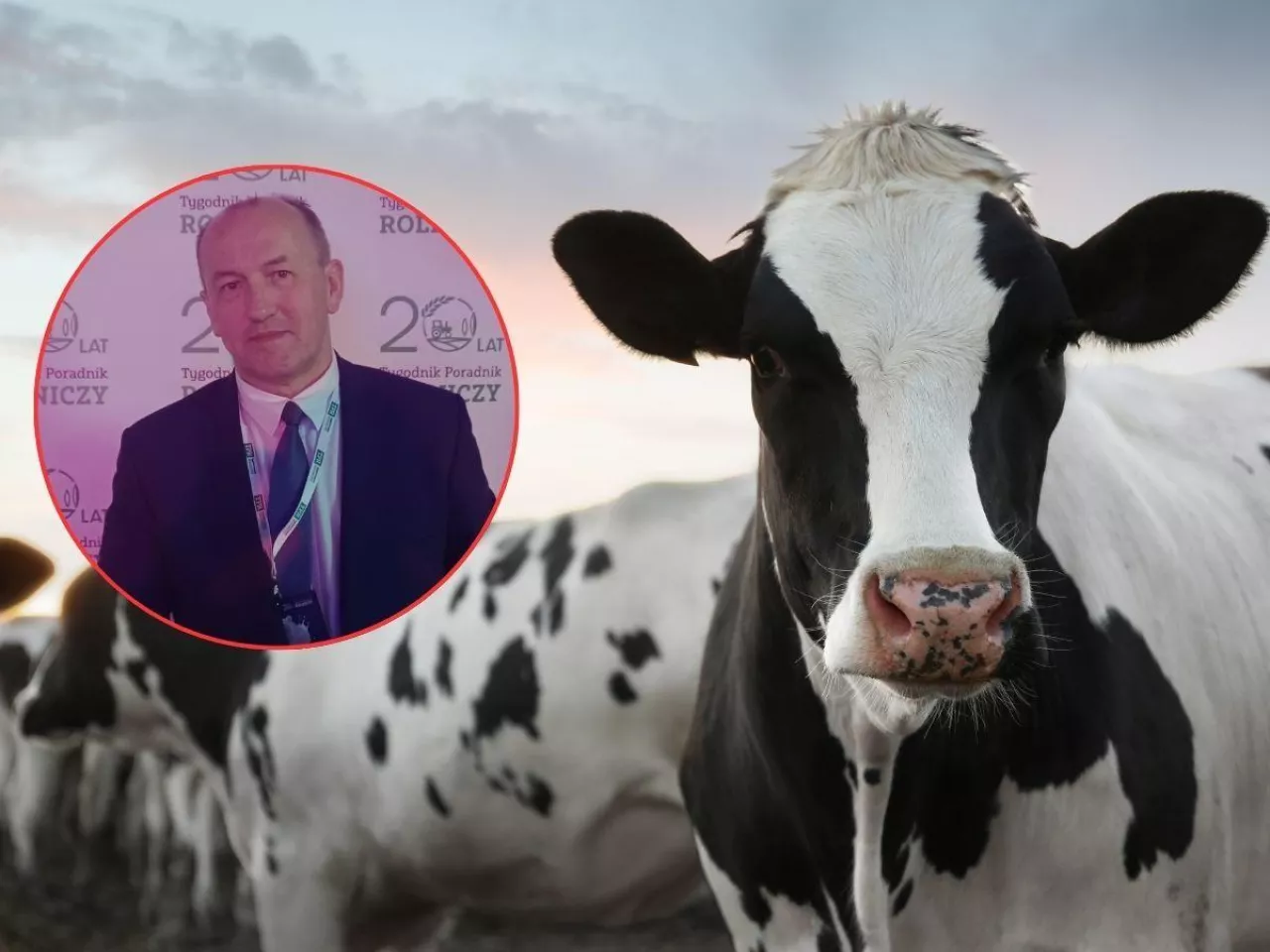 15 lat oceny genomowej w Polsce – czy można było zrobić to lepiej?