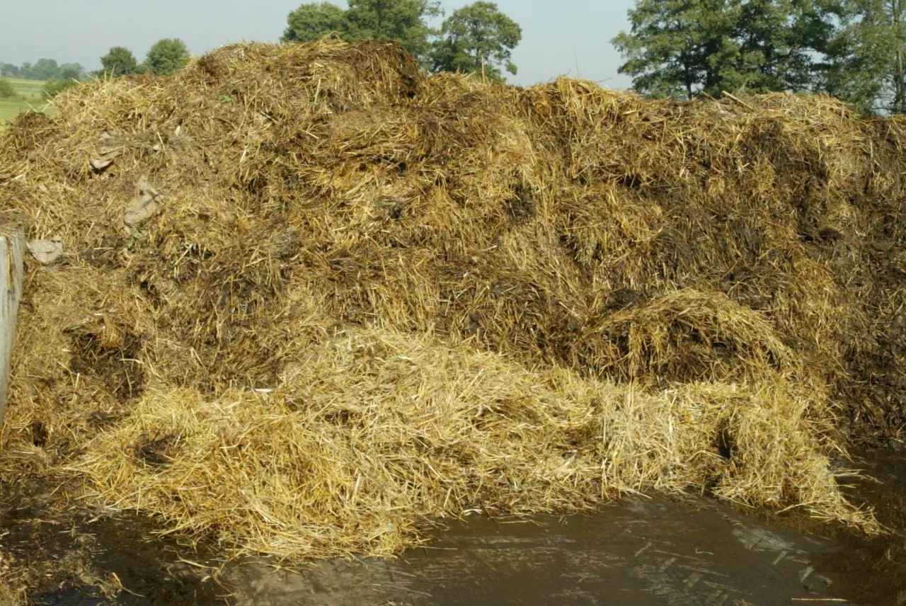 nawozy naturalne, obornik, renure