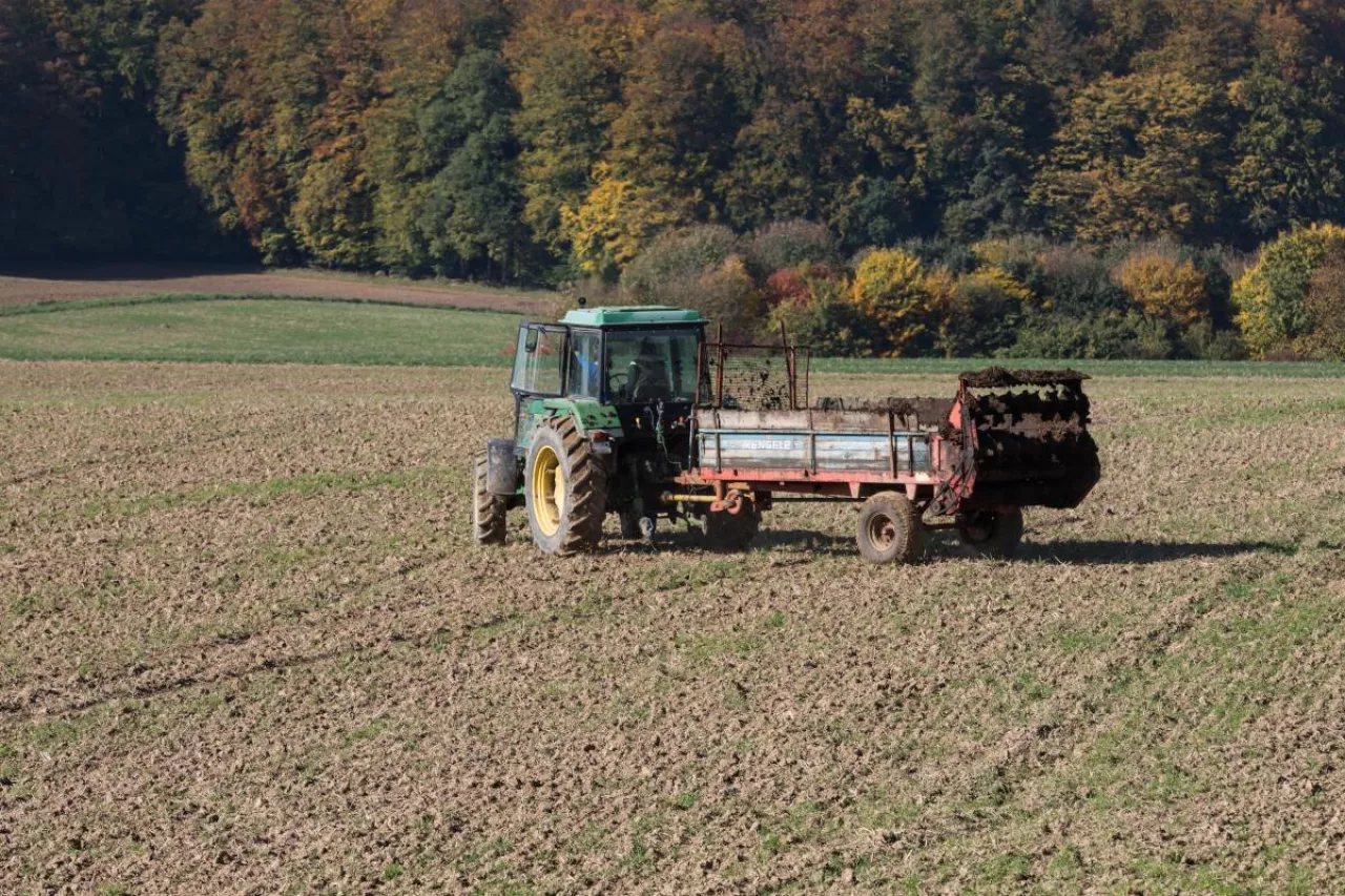 Traktor z rozrzutnikiem obornika na polu uprawnym