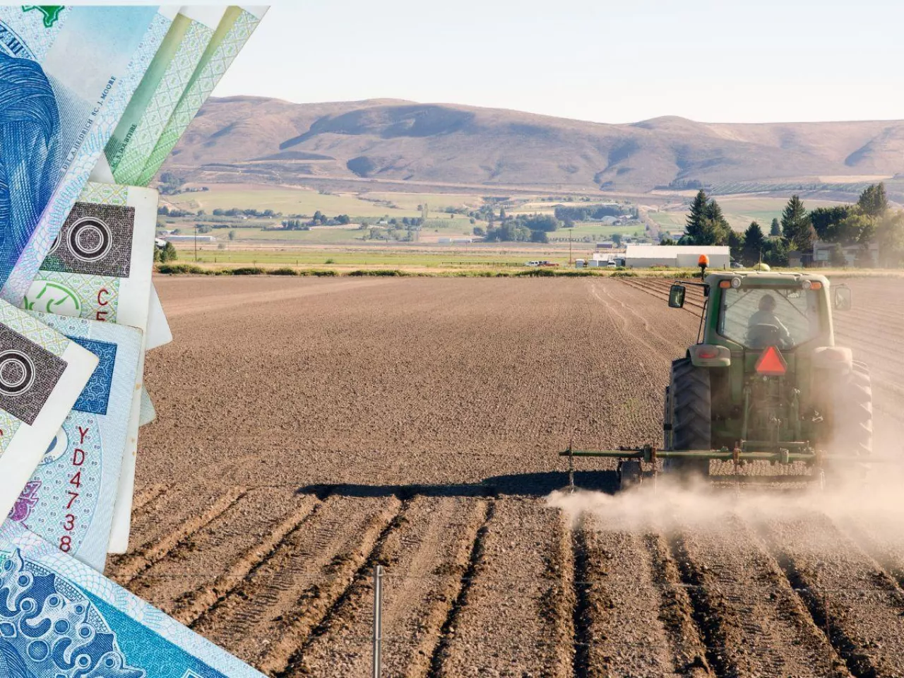 Gdzie dzierżawa ziemi jest najdroższa? Rolnicy płacą nawet 2400 zł za hektar