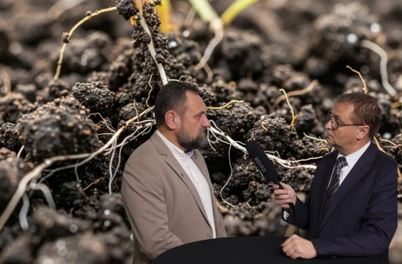 nawożenie, struktura gleby