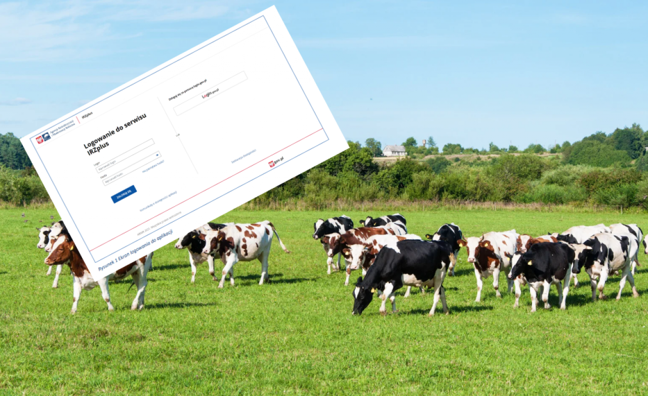 IRZplus zmienia zasady. Rolnicy zobaczą to przy zgłoszeniach