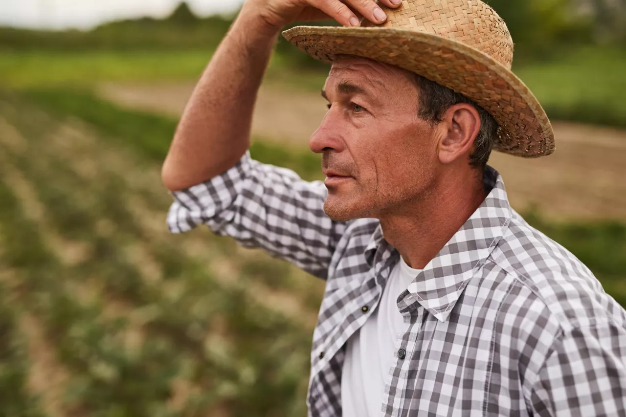Side view of middle aged male farm owner in checkered shirt and straw hat standing in green agricultural field and looking away