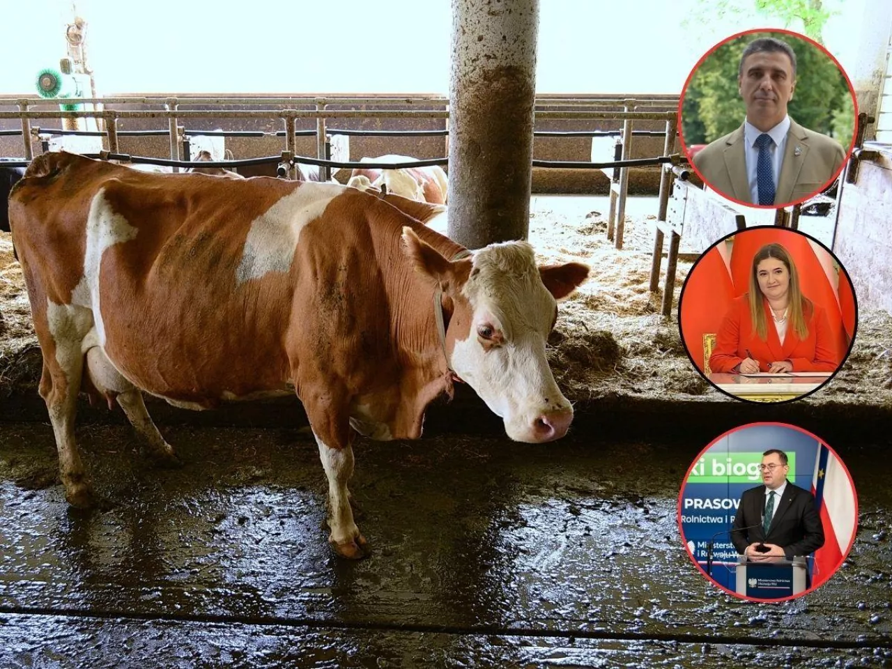 Interpelacja ws. rolnictwa