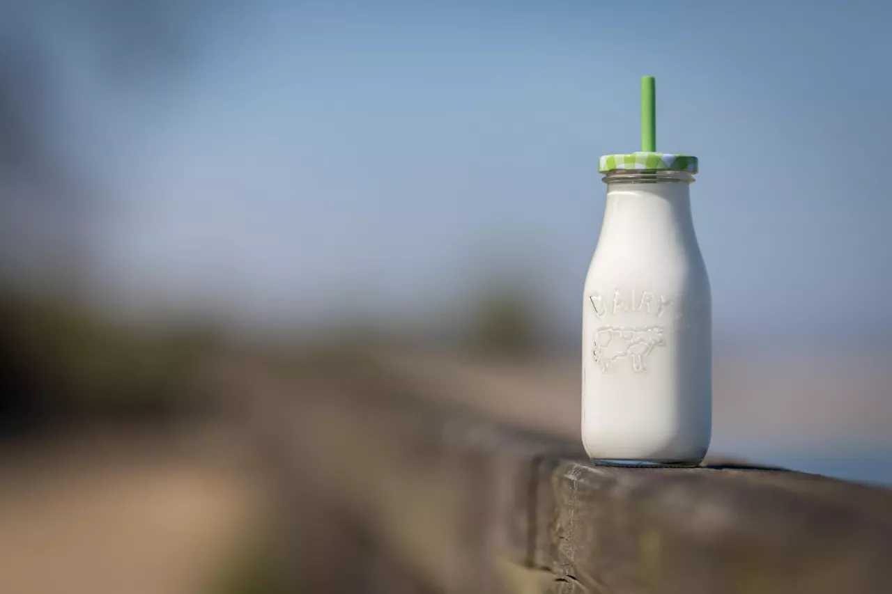 Największym producentem mleka na świecie pozostaje Unia Europejska. Szacunki na 2025 r. mówią o 148,1 mln ton, czyli wzroście o 1,8% r/r.