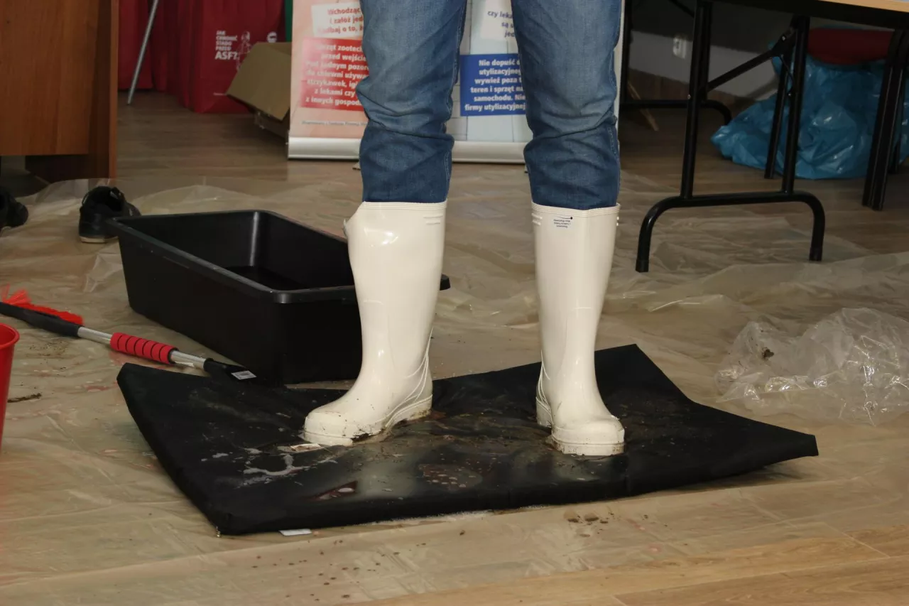 bioasekuracja mata buty brud