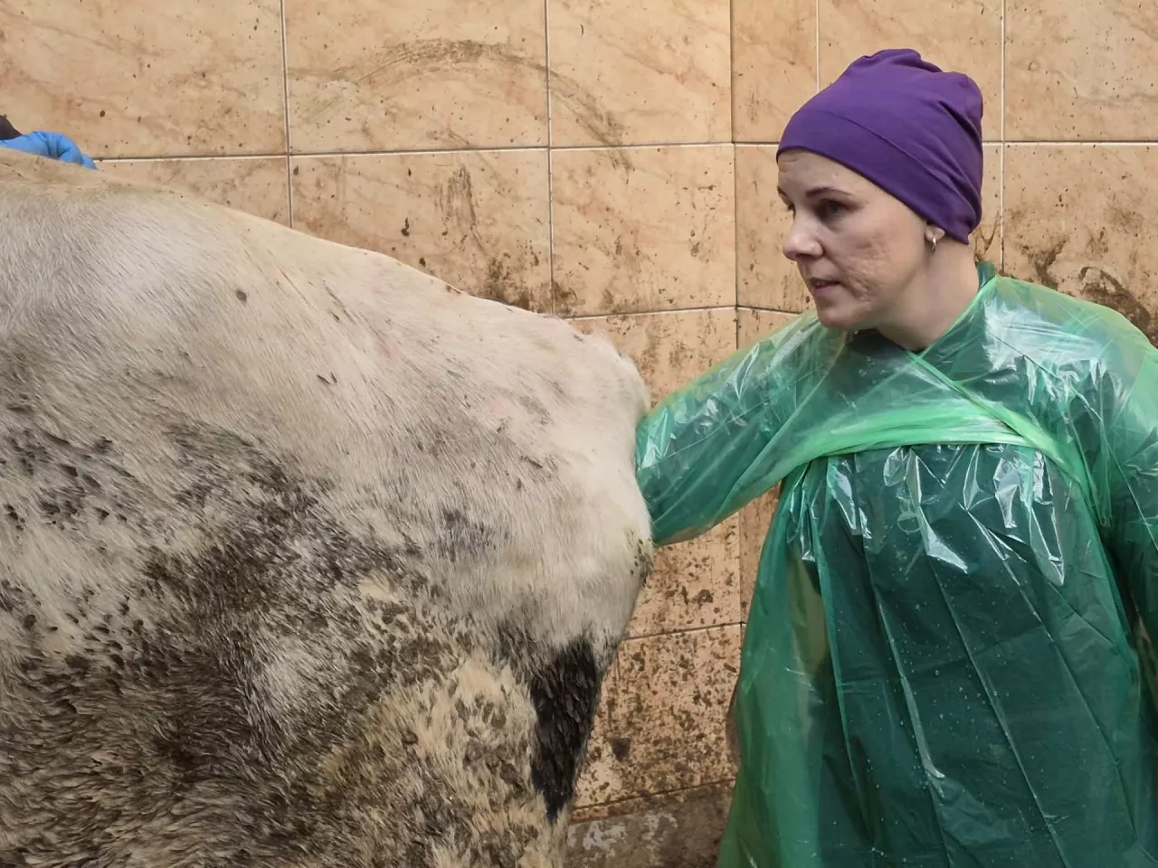 lek. wet Klaudia Malicka-Kaczyńska