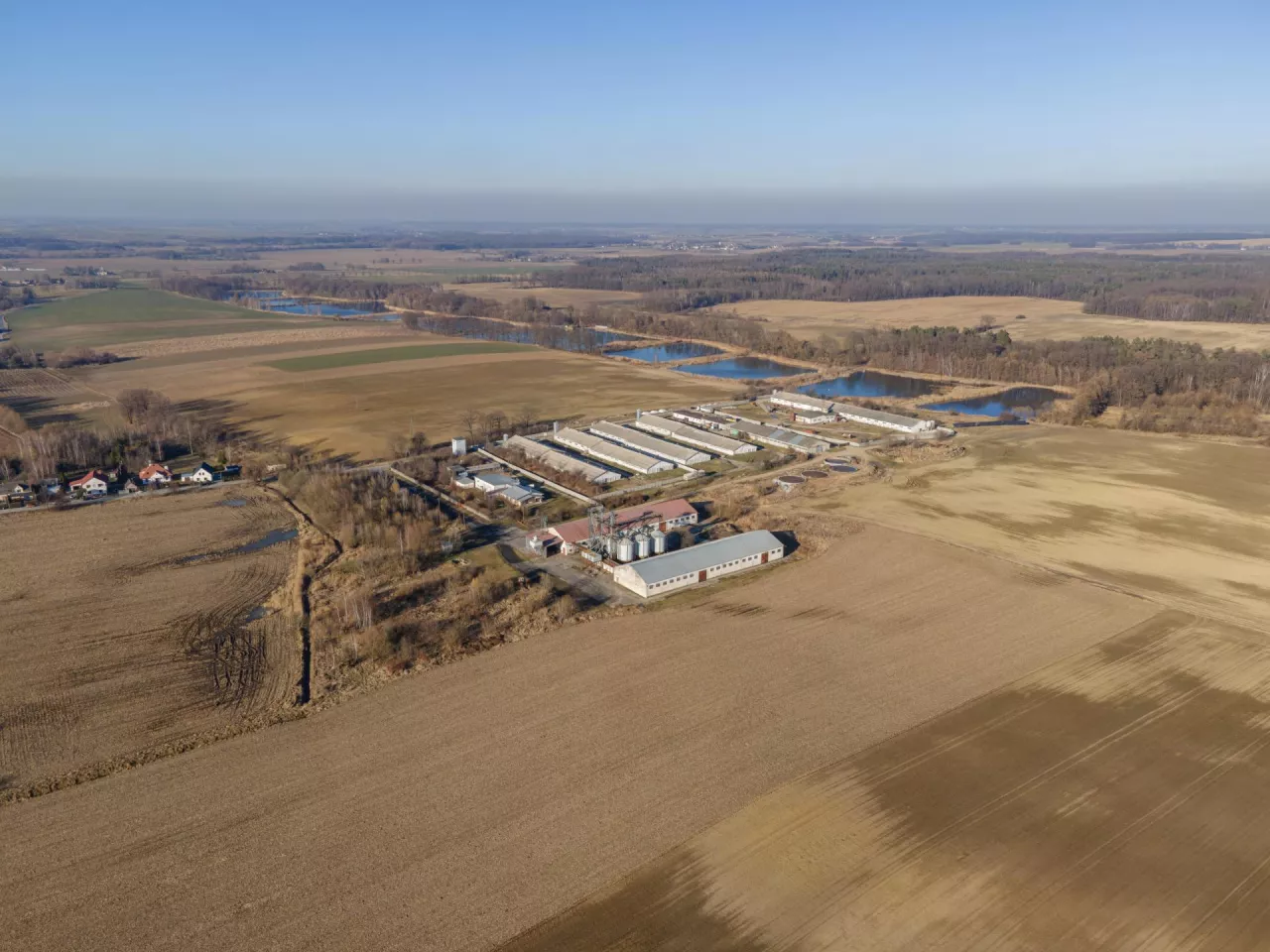 Bulik nawożenie gnojowicą ferma świń materiał Jakubowski