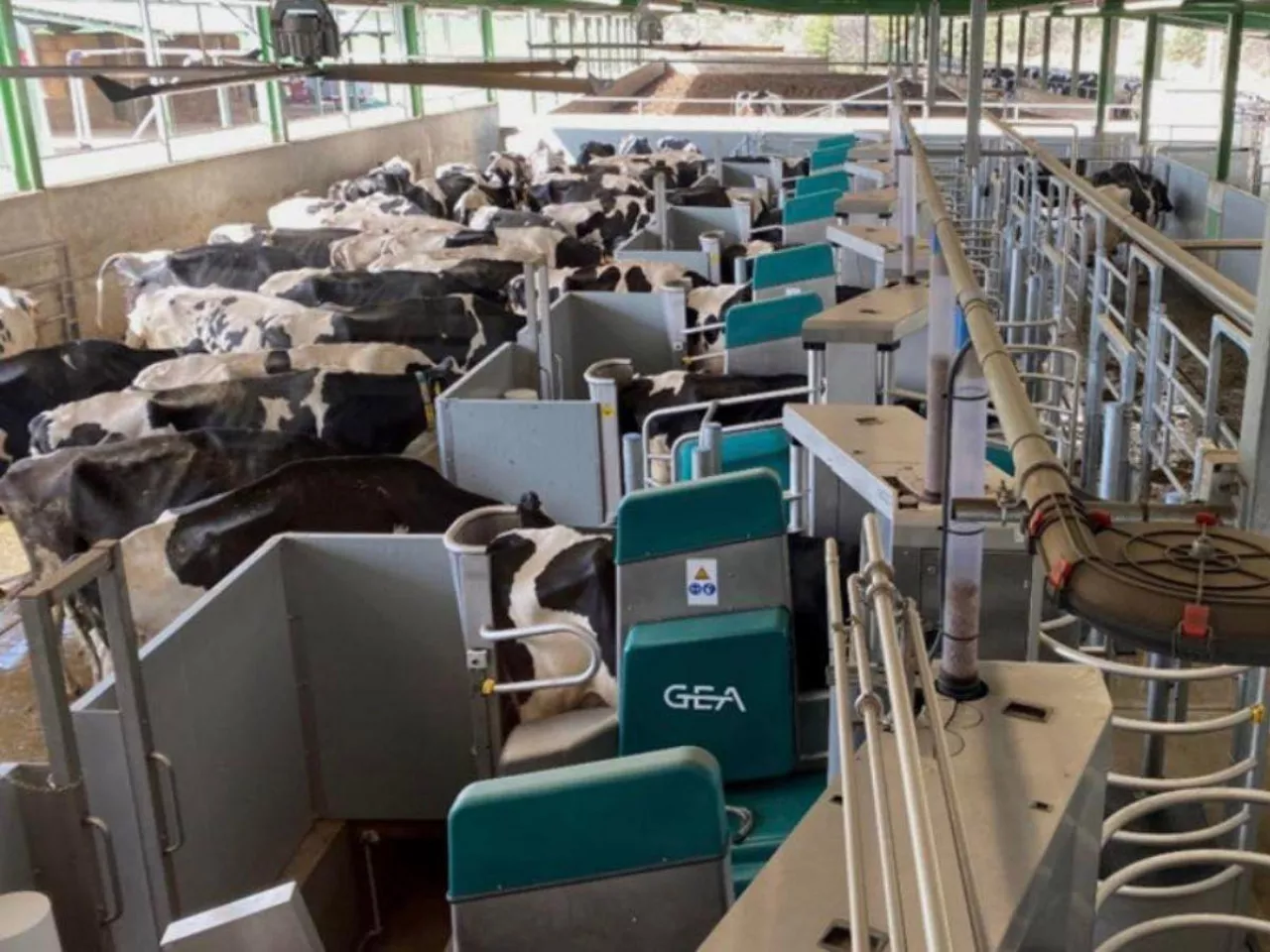 Na Ukrainie powstanie instalacja do dojenia krów na 60 aparatów udojowych