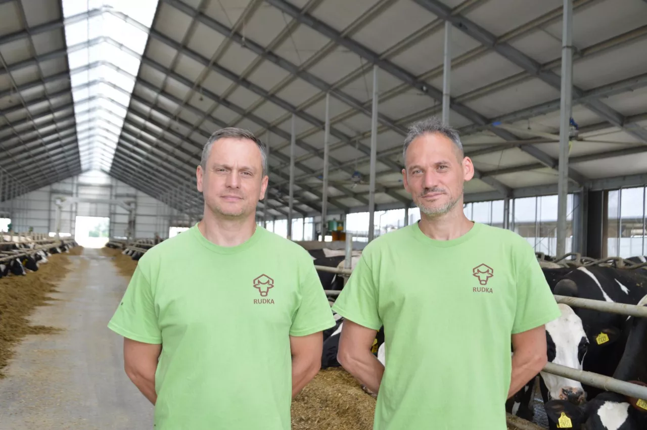 Krzysztof i Grzegorz Kosińscy nie poprzestają jedynie na standardowych rozwiązaniach. Testują mieszanki międzyplonowe TerraLife®, poprawiające strukturę gleby i bilans składników pokarmowych, a w latach suchych wykorzystywali je także jako dodatkowe źródło paszy dla krów zasuszonych i młodzieży. W planach mają również dalszy rozwój areału lucerny