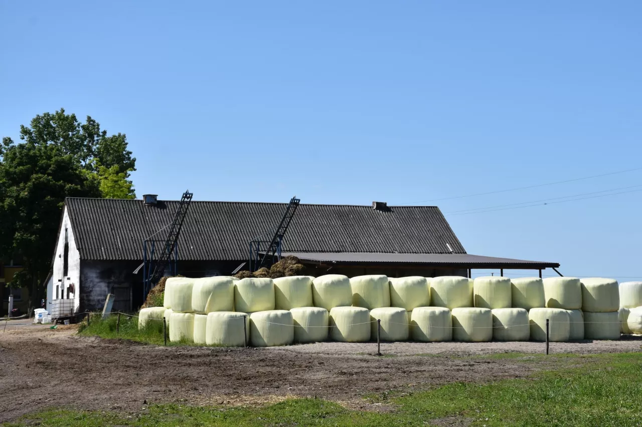 Baloty sianokiszonki koło budynku gospodarczego na terenie gospodarstwa rolnego