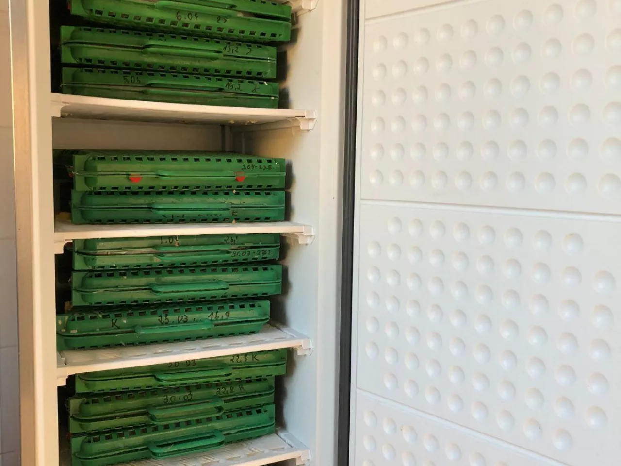 Siarę można mrozić, ale… jest jeden haczyk