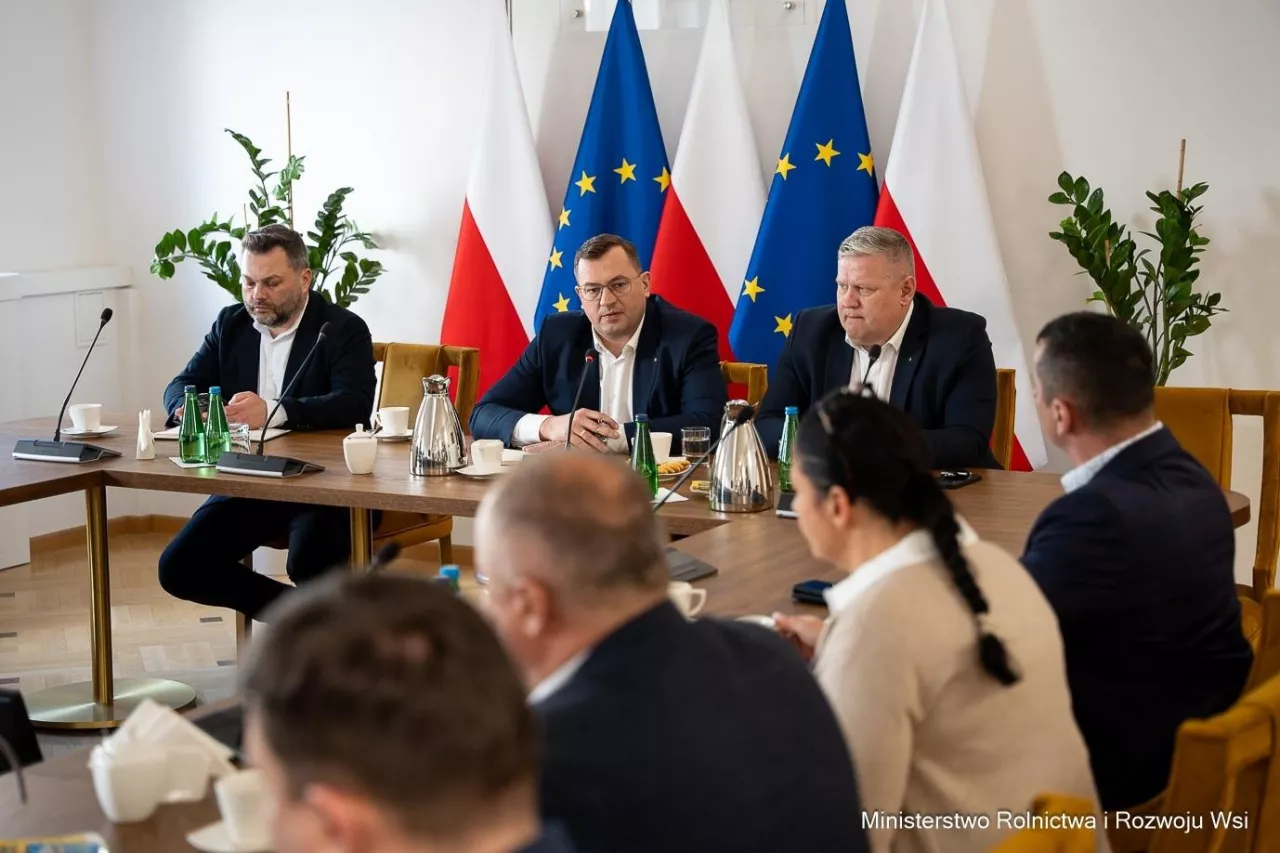 Ziemniaków jest za dużo, a ceny runęły. Rolnicy chcą pilnej pomocy