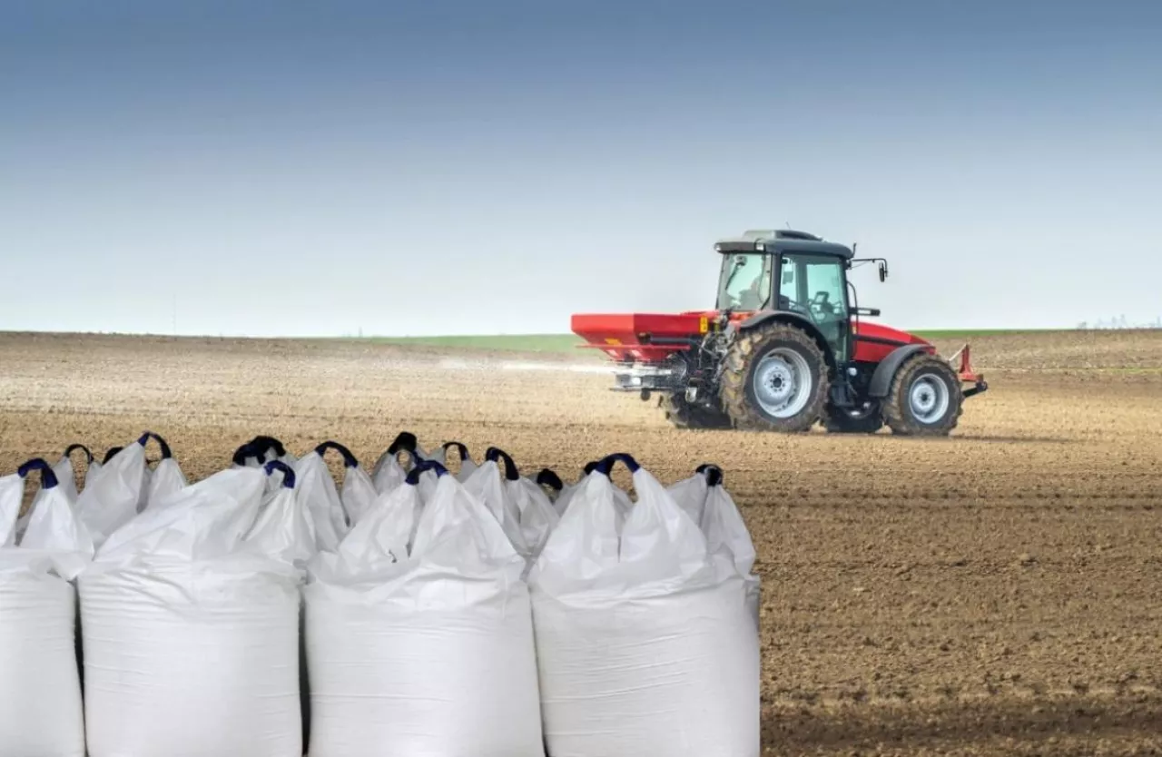 import eksport nawozów 2025