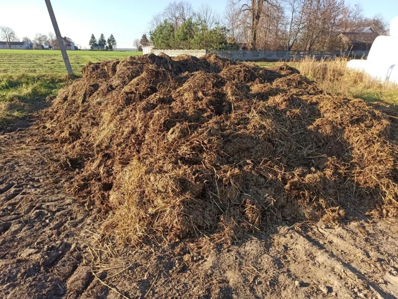 obornik, nawożenie obornikiem