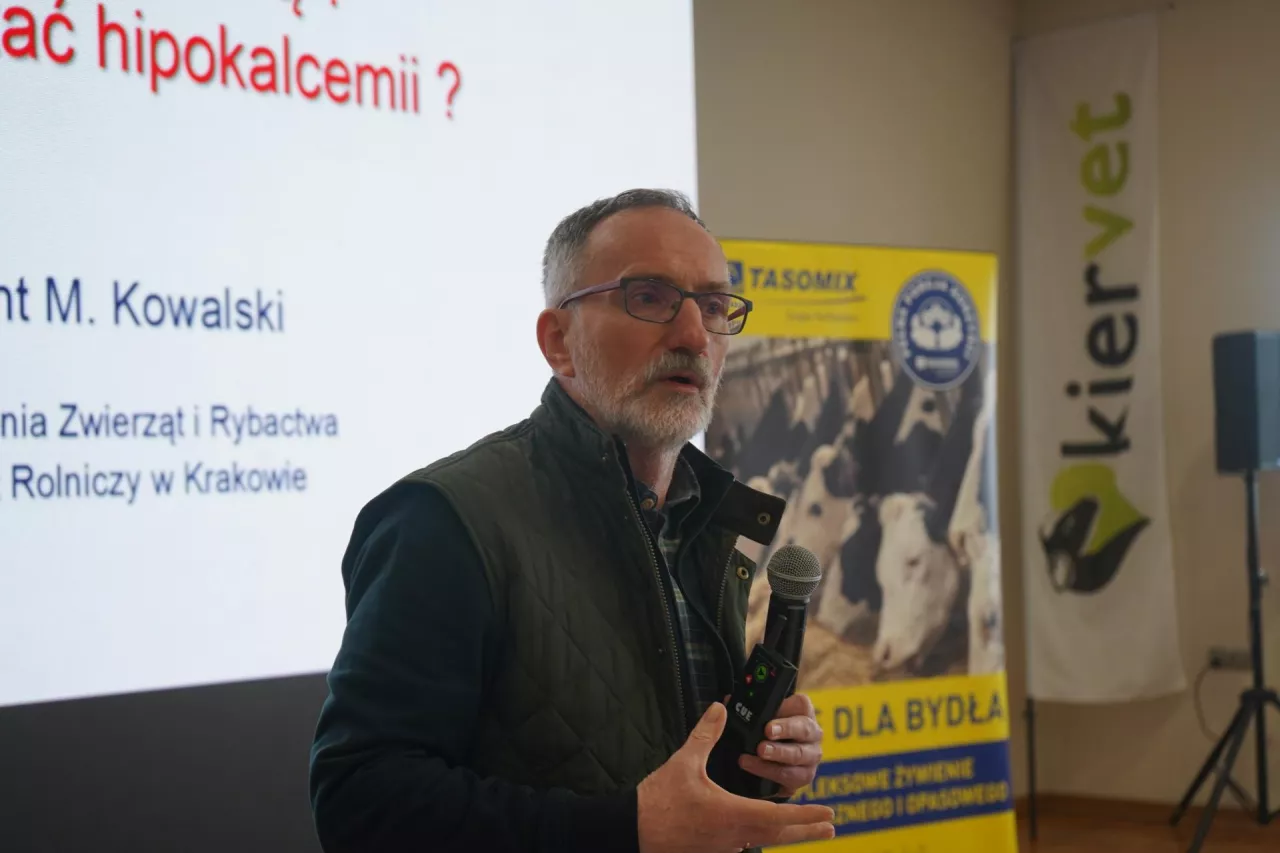  Hipokalcemia nie jest wyłącznie problemem weterynaryjnym. To jeden z kluczowych elementów zarządzania stadem. Kto opanuje profilaktykę hipokalcemii, ten ograniczy także ketozę, zatrzymanie łożyska, zapalenie macicy, mastitis i straty w rozrodzie - przekonuje prof. Zygmunt Kowalski
