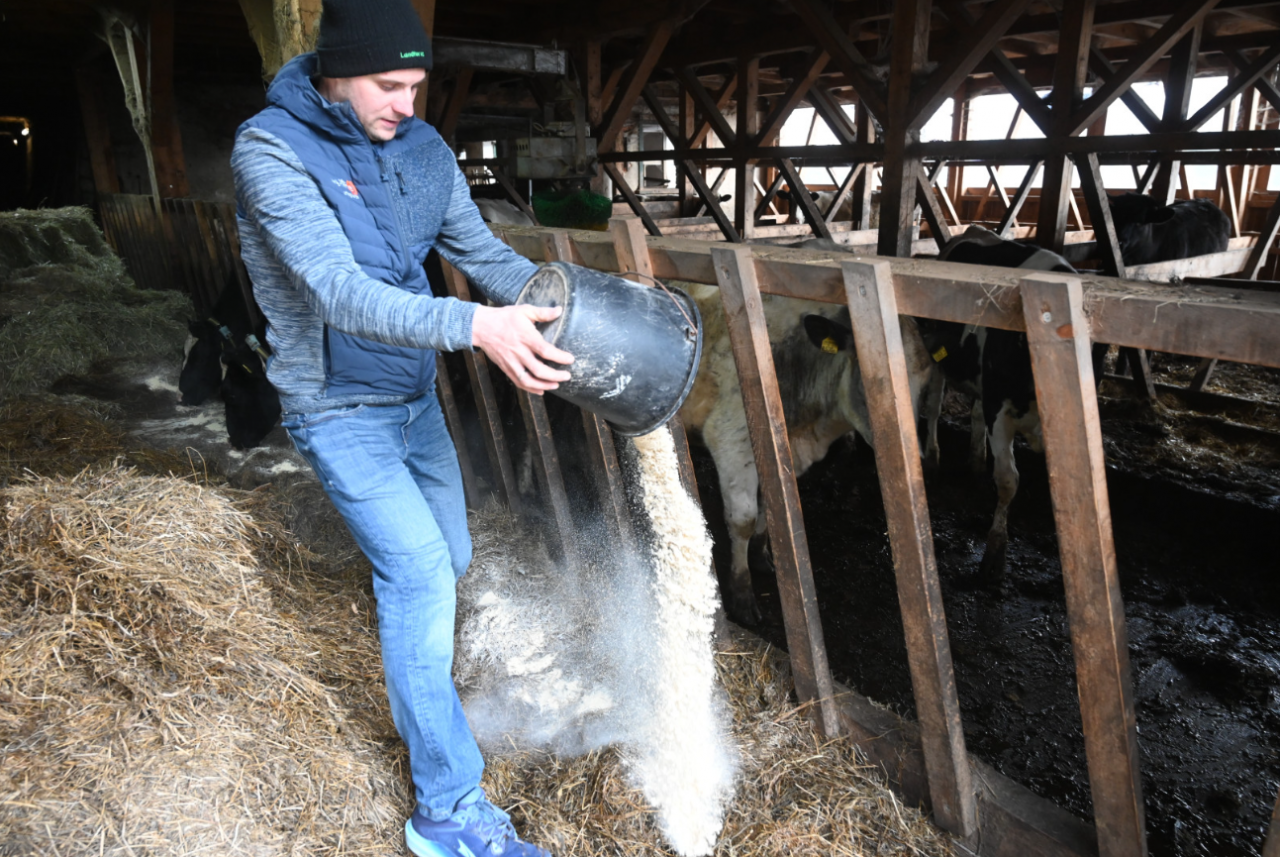 ”W sezonie wypasu ceny spadają poniżej 1 euro. W ciągu całego 26-miesięcznego okresu życia, średnio daje to od 2 do 2,50 euro za zwierzę dziennie” – oblicza Karner. 