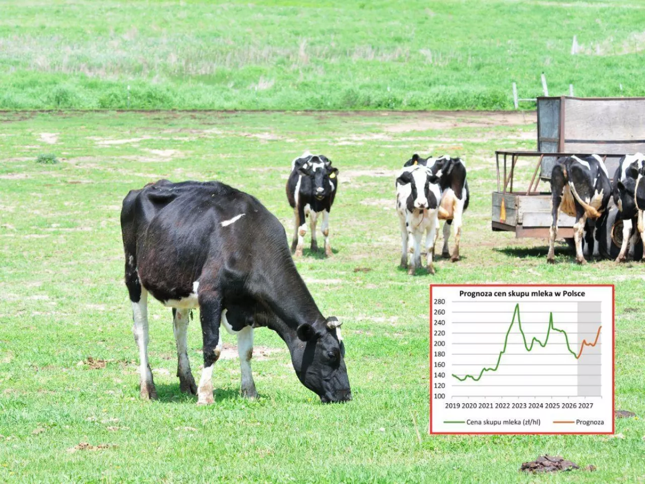 Prognoza cen dla rynku mleka Credit Agricole