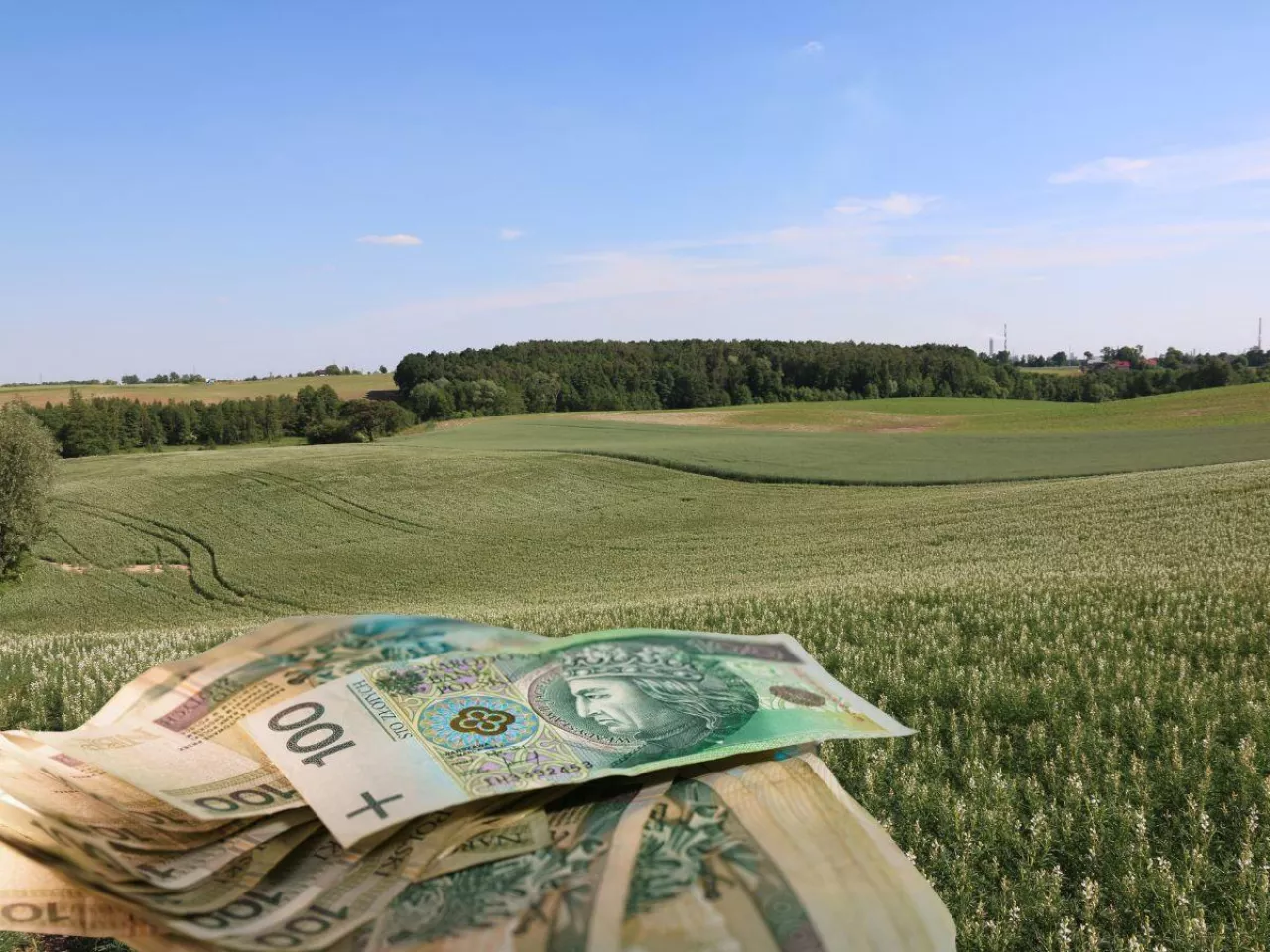 Ile kosztuje ziemia rolna w Niemczech? W jednym regionie za hektar nawet 350 tys. zł